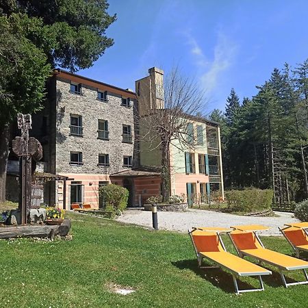 Il Bosco Di Campo Marzano Studios Borzonasca エクステリア 写真