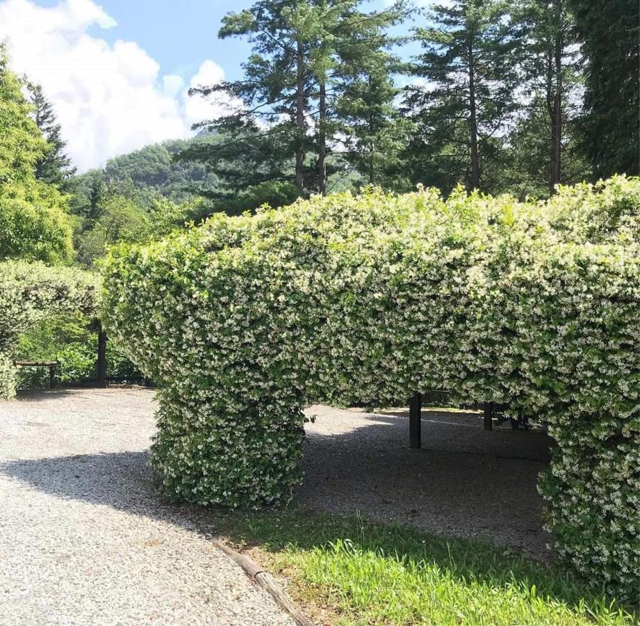 Il Bosco Di Campo Marzano Studios Borzonasca エクステリア 写真