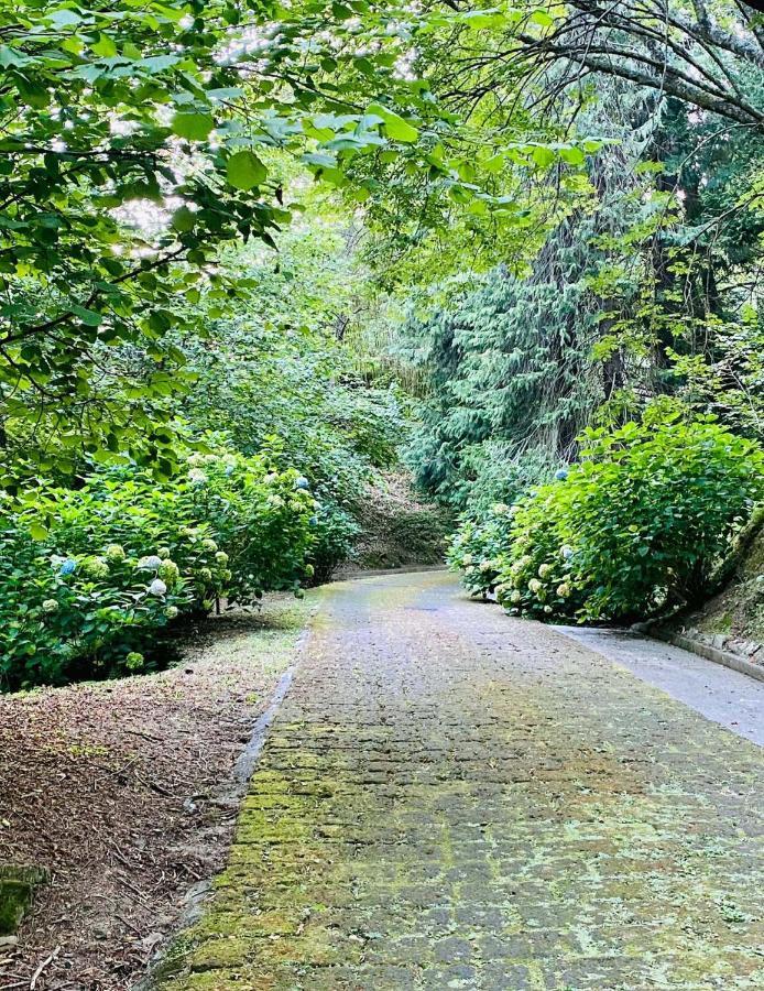 Il Bosco Di Campo Marzano Studios Borzonasca エクステリア 写真