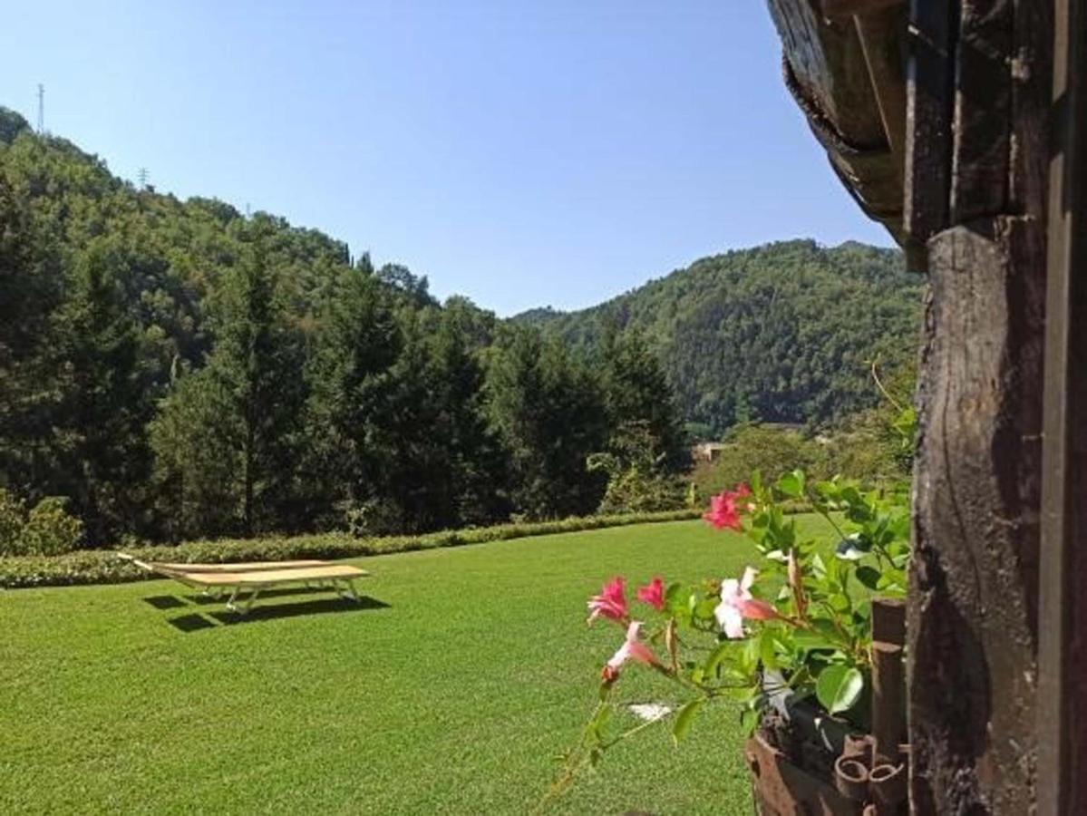 Il Bosco Di Campo Marzano Studios Borzonasca エクステリア 写真