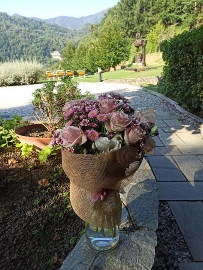 Il Bosco Di Campo Marzano Studios Borzonasca エクステリア 写真