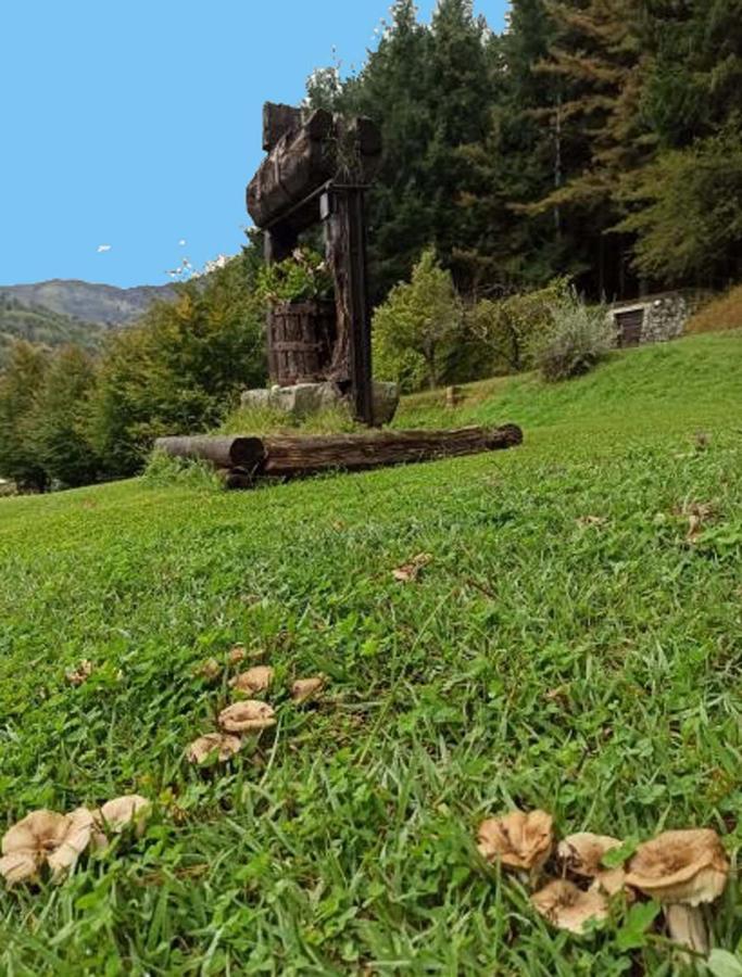 Il Bosco Di Campo Marzano Studios Borzonasca エクステリア 写真