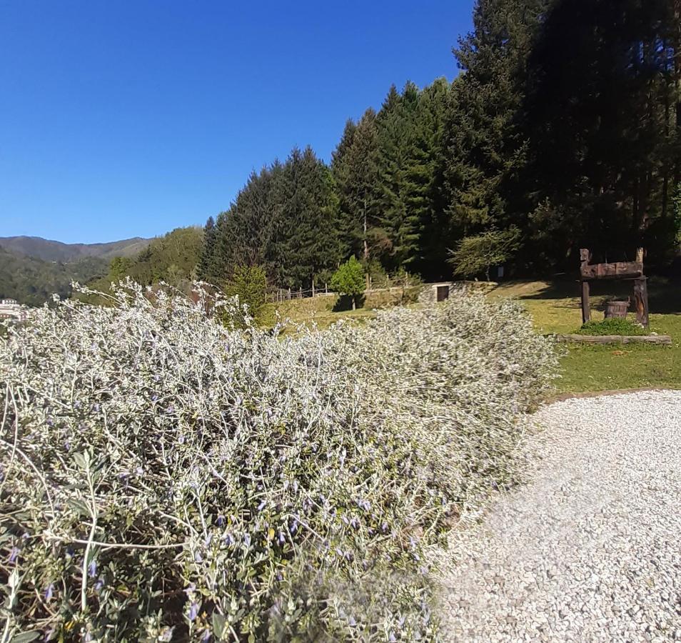 Il Bosco Di Campo Marzano Studios Borzonasca エクステリア 写真